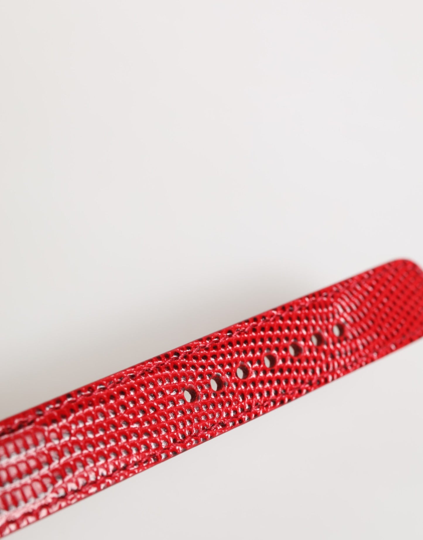 Dolce & Gabbana Red Exotic Leather Gold Tone Metal Buckle Women Armband